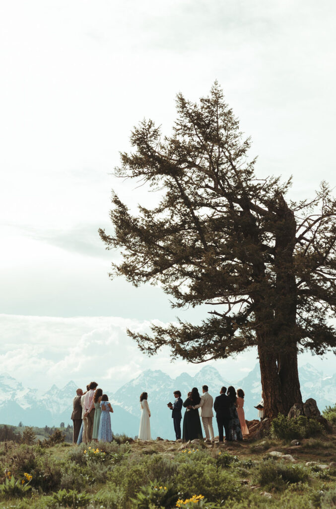 couple exchanging vows at wedding tree in jackson hole wyoming