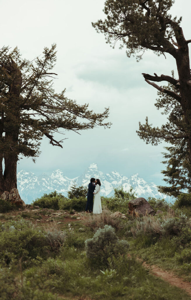 grand teton wedding at the wedding tree in jackson hole