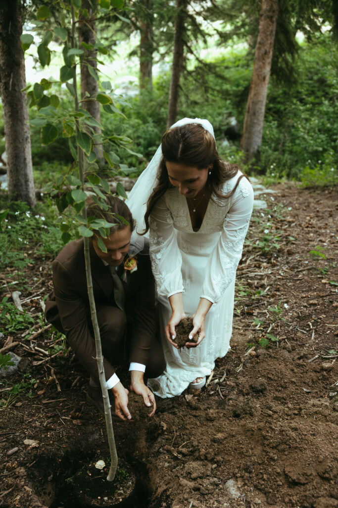 bride and groom planting wedding tree in brighton, Utah