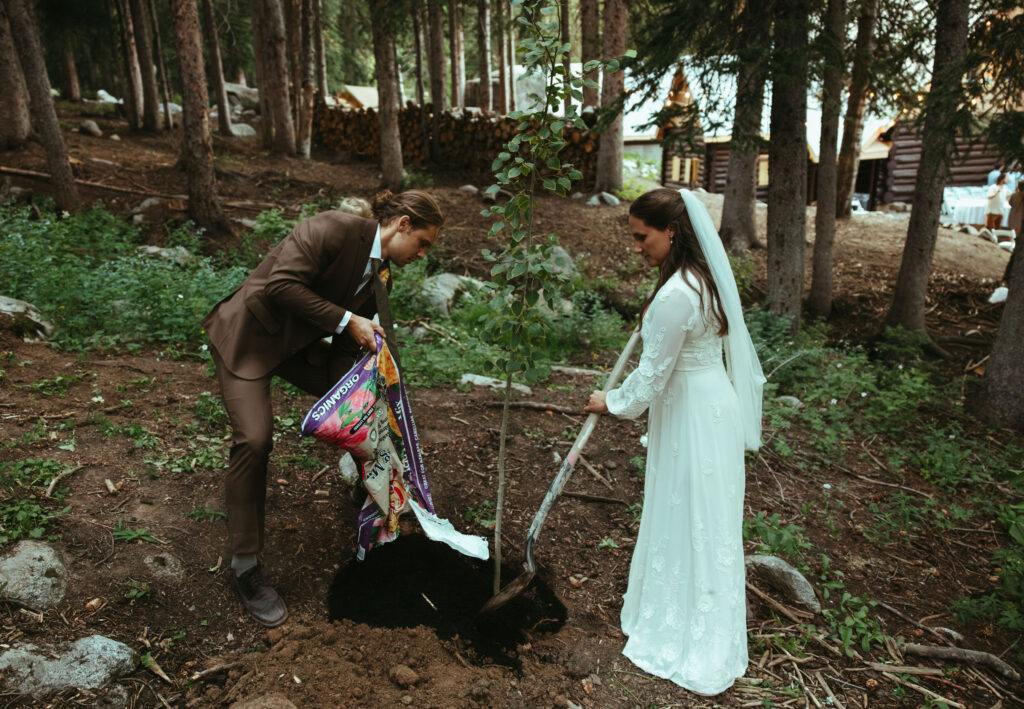 aspen tree ceremony at brighton wedding venue