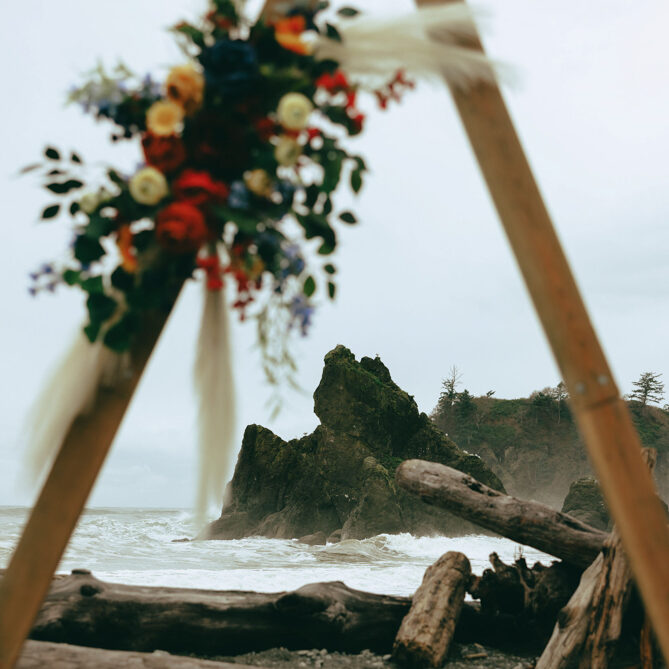 Ruby Beach wedding in Olympic National Park.