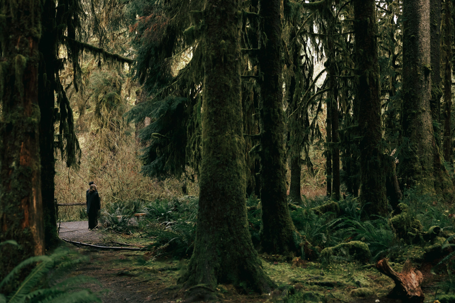 Olympic National Park engagement photos