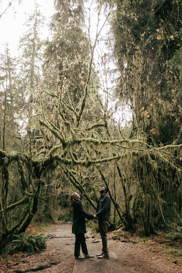 Olympic National Park engagement photos