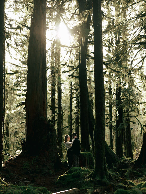 Olympic National Park engagement photos