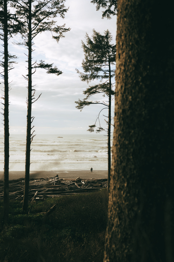 Ruby Beach Engagement Photos